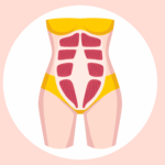 腹直肌 分離困擾